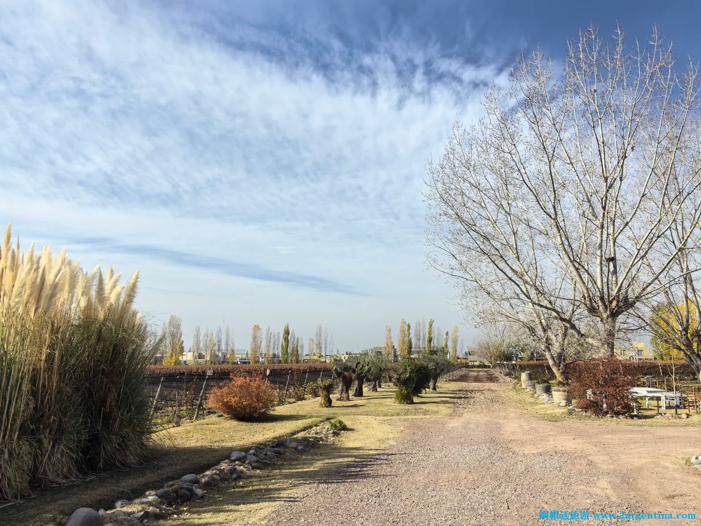 门多萨（阿根廷）3.jpg